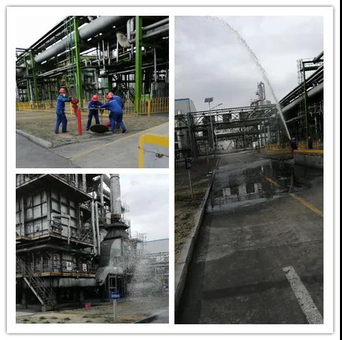 1586912741417221.jpeg 1586912741417221.jpeg