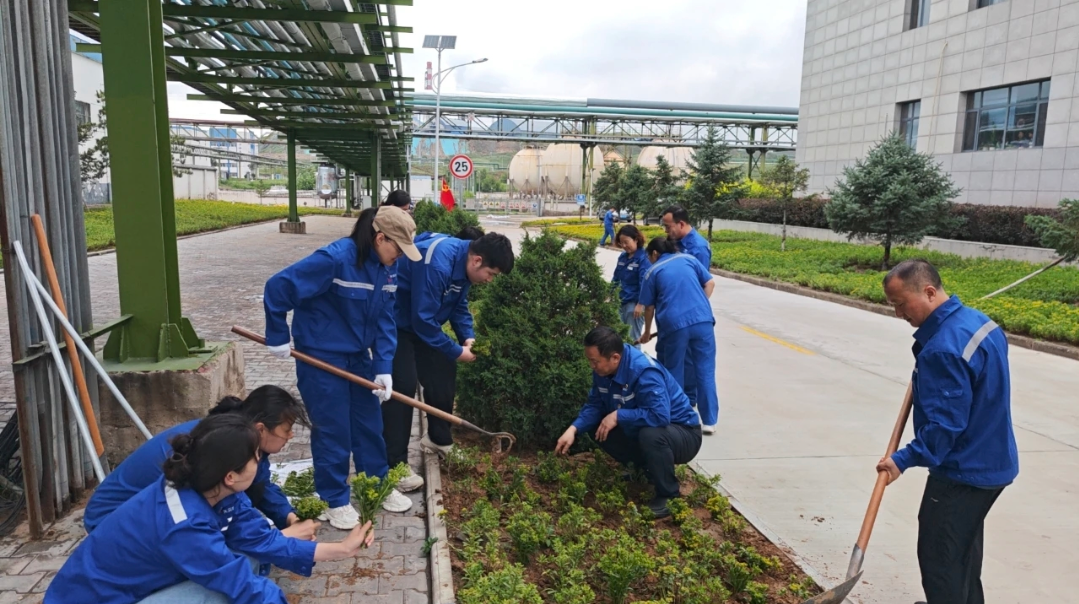 1752110485194642.png 1752110485194642.png