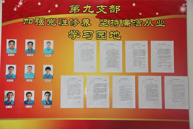 第九黨支部黨員干部廉政承諾表 第九黨支部黨員干部廉政承諾表